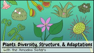 Plants Diversity Structure amp Adaptations [upl. by Amees]