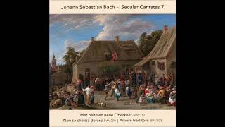 JS Bach  The Secular Cantatas BWV 212 BWV 209 BWV 203  M Suzuki CD 0710 [upl. by Meerek]