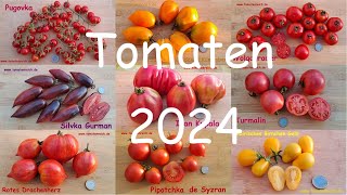 Russische Tomatensorten 2024 [upl. by Scrope]