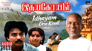 Idhayam Oru Kovil Male  Idaya Kovil Movie  Tamil Song  Ilaiyaraaja  SPB  Mohan  Ambika [upl. by Kenlee]