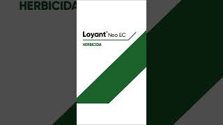 Loyant™ Neo EC  Beneficios Perú [upl. by Adnovad]