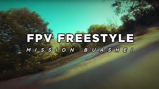 FPV Freestyle  MissionBuashei [upl. by Artemisia]