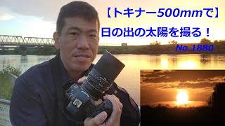 【トキナーで日の出を撮る！】SZ 500mm F8 Reflex MF（動画No1880） [upl. by Hgieloj]