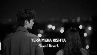 TERA MERA RISHTA  SlowedReverb  Hindi Best Song  AzZ [upl. by Caras]