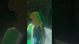 1000 Ways to Korok 206  Zelda TotK Short [upl. by Estey173]