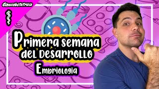 👨‍⚕️EMBRIOLOGIA  PRIMERA SEMANA DEL DESARROLLO [upl. by Esmerolda616]