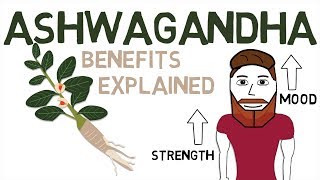 ASHWAGANDHA BENEFITS What Ashwagandha Is And How It Works [upl. by Hay]