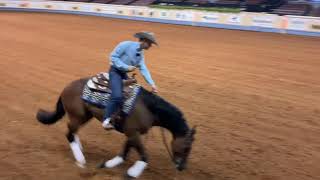 Nutrena Ride the Pattern Clinic Reining [upl. by Scheld]