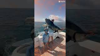 Fishing for sailfish in Exmouth [upl. by Lucey]