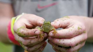 Wisconsin Life  Exploring nature and fun at Pringle Nature Center [upl. by Serle]