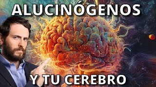 Así Cambian Tu Cerebro los Alucinógenos [upl. by Alexei607]