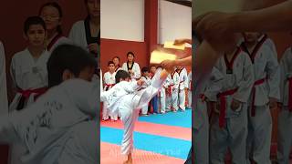 720° Kick 🦶 Board Break taekwondo kick ajaytamangtkd martialarts sports shorts [upl. by Anaitak]