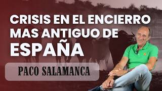 Cuéllar los encierros de toros mas antiguos de España envueltos en una gran polémica [upl. by Phillane]