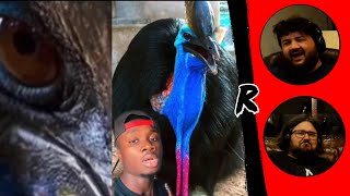 Cassowaries are truly the spawn of Satan  mndiaye97  RENEGADES REACT [upl. by Adnilemre]