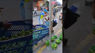 Comercio Activo en la ciudad de Villahermosa Tabasco Calle Bastar Zozaya cerca del mercado [upl. by Ennovart652]