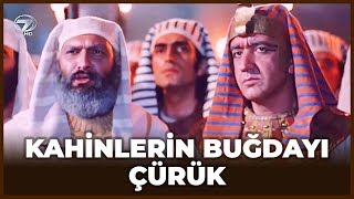 Tapınak Rahipleri REZİL Oluyor Artık İtibarları Sıfır  Hz Yusuf 31 Bölüm [upl. by Pillihp892]