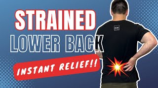 Lower Back Pain Stretches and Exercises  Pulled Lower Back Muscle  QUICK RELIEF [upl. by Yedrahs]