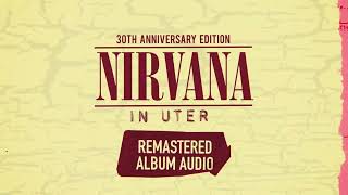 Nirvana  In Utero 30th Anniversary Edition [upl. by Frulla942]