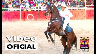 Caballos de Paso Peruano Bailando 2017 Video Oficial Full HD Tania Producciones✓ [upl. by Marutani200]