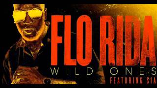 Florida ft Sia Wild Ones  David Guetta amp Nicky Romero Rmx [upl. by Clarence]