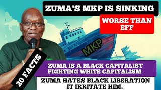 20 FACTS SHOWING JACOB ZAMAS MKP IS SINKING WORSE THAN EFF LED BY MALEMA ZUMA HATE BLACK PEOPLE [upl. by Yesnel]