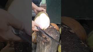 Awesome coconut cutting skills cocunut satisfying videoviral shortsviral cuttingskills fyp [upl. by Elwaine905]