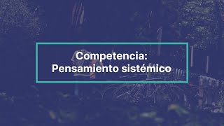 Evaluación de desempeño Pensamiento sistémico [upl. by Sherr]