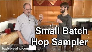 Small Batch Hop Sampler  Basic Brewing Video  January 14 2019 [upl. by Susumu354]