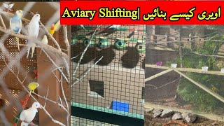 Shifting of birds in aviary  new birds aviary [upl. by Eisiam20]