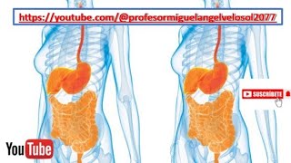 VIDEO ANATOMIA DEL APARATO DIGESTIVO PARTE I [upl. by Nitsid]