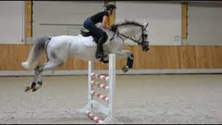 HORSE RIDINGGO PRO VIEWHORSE SPOOKS [upl. by Thrasher]