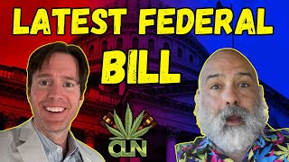 The New Marijuana Legalization Bill What You Need To Know  Cannabis News 2023 [upl. by Atiraj]