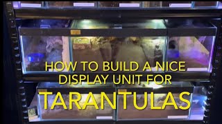 TARANTULAS how to build a nice display [upl. by Ennovoj803]