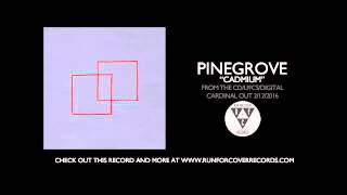 Pinegrove  quotCadmiumquot Official Audio [upl. by Ahsennek]