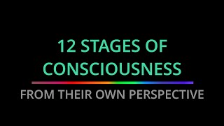 All 12 Stages of Consciousness  Under 10 Minutes [upl. by Ecylla355]