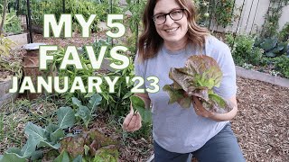 Whats Growing in the Garden Right Now My January Favorite 5 [upl. by Aciria]