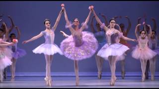 Victoria International Ballet Academy of Canada Gala Concert 2011 [upl. by Ozen648]