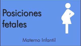 Posiciones Fetales  Materno infantil  video 3 [upl. by Gracie]