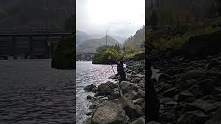 Slinging in slow mo🤙🏼teamhardlife jacdupleatherworks pnw fishing sturgeon columbiariver [upl. by Anahsirk246]