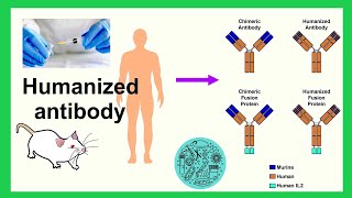 humanized antibody [upl. by De Witt]