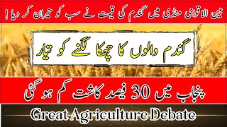 Expected wheat price in 2024 Great Agriculture Debate Kisan News TV [upl. by Harbird]