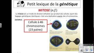 Petit lexique de la genetique [upl. by Eical]