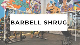 BARBELL SHRUG [upl. by Aleik]