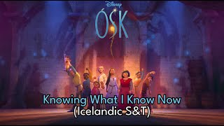 Wish  Knowing What I Know Now Icelandic SampT [upl. by Alleris]