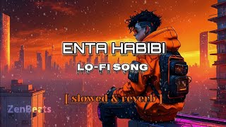 ENTA HABIBI LOFI SONG Urdu Kya song hai sal karte dikhao [upl. by Ntsuj512]