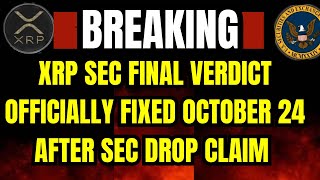 XRP UPDATE Countdown in RippleSEC Case Final Deadline Approaches on October 24 crypto bitcoin [upl. by Asinla331]