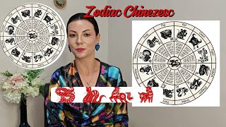 Zodiac Chinezesc  Compatibilități  Remedii  Culorile Potrivite  Răspunsuri la întrebări [upl. by Darleen]