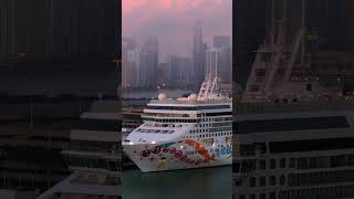 cruises cruiselife cruiseships [upl. by Caro]