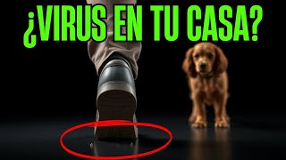 ¡CUIDADO DONDE PISAS Contagio El Riesgo en tus zapatos [upl. by Alain391]