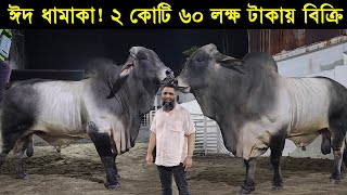 ঈদ ধামাকা ২ কোটি ৬০ লক্ষ টাকায় বিক্রি হয়ে গেলো সাদিক এগ্রো ফার্মের ৩ টা ব্রাহামা গরু।Sadeeq agro [upl. by Aihsa]